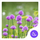 Flower-APUS Launcher theme icono