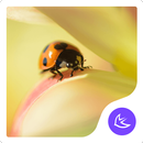 Flowers and ladybugs APUS launcher theme APK