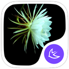 Flowers-APUS Launcher theme-icoon