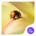 Icona ladybug-APUS Launcher theme