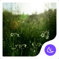 Forest Plants Simple-APUS Launcher stylish theme