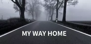 Way Home-APUS Launcher theme