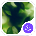 Natural-APUS Launcher theme icône