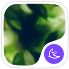 Natural-APUS Launcher theme icono