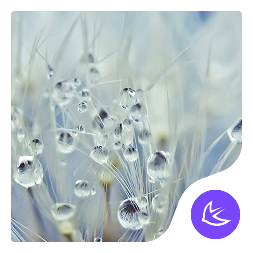 Gras im Regen-APUS Launcher th