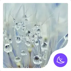 草の雨-APUランチャーをテーマに アプリダウンロード