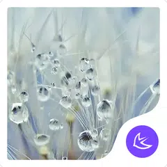 Скачать Grass in the rain-APUS Launche APK