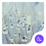 Grass in the rain-APUS Launche icon