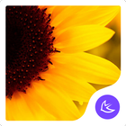 Spring|APUS Launcher theme icono
