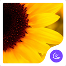 Spring-APUS Launcher temas APK