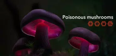 Mushrooms-APUS Launcher theme