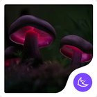 Cogumelos-APUS tema Lançador ícone