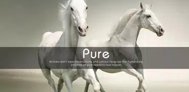 Pure|APUS Launcher theme