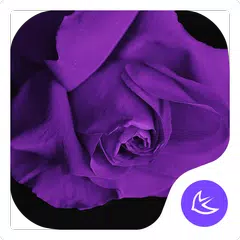Purple-APUS Launcher theme APK download