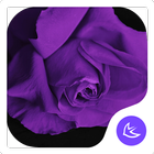 Purple-APUS Launcher theme simgesi