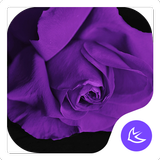 Purple-APUS Launcher theme أيقونة