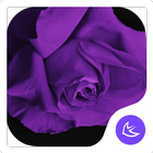 Púrpura-APUS Launcher tema icono