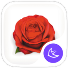 Rosa-APUS Launcher theme icône