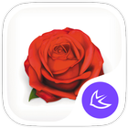 Rosa-APUS Launcher theme icono