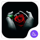 Rose|APUS Launcher theme icône