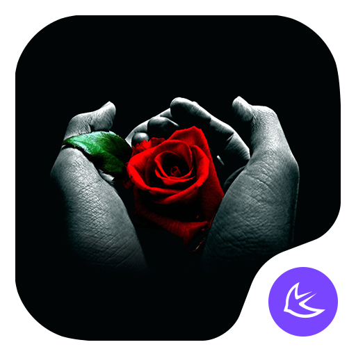 Rose|APUS Launcher theme