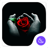 Rose|APUS Launcher theme 圖標