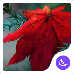 Maple leaf-APUS Launcher theme APK Herunterladen