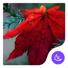 آیکون‌ Maple leaf-APUS Launcher theme