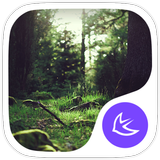 Green Fairy Tale Forest theme & wallpapers simgesi