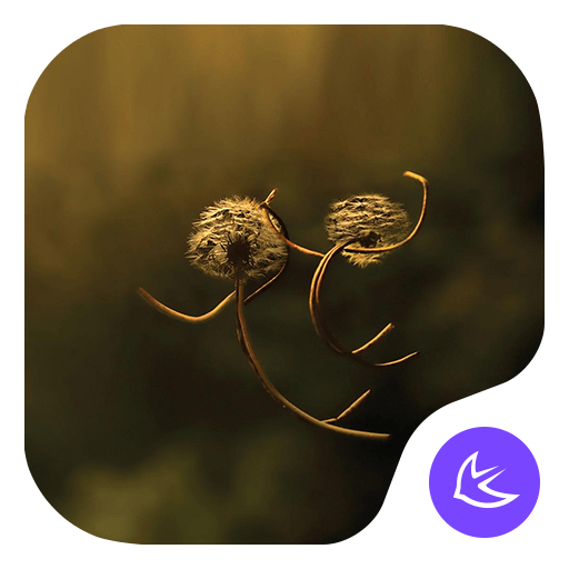 Dandelion-APUS Launcher theme