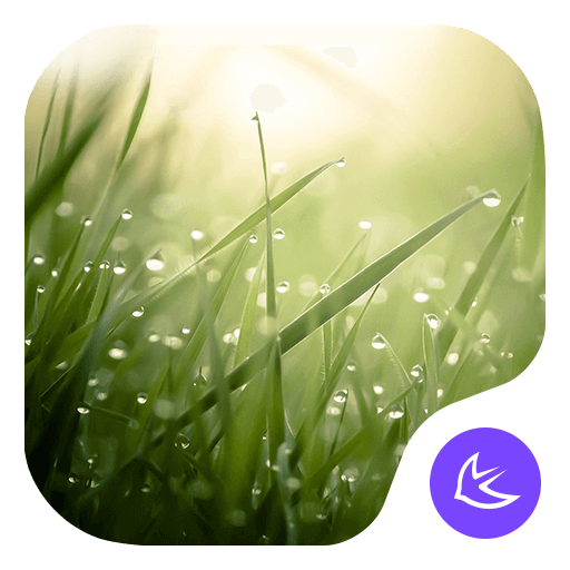 Lush-APUS Launcher