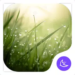 Lush-APUS Launcher theme