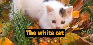 White Cat-APUS Launcher theme