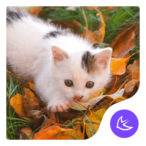 White Cat-APUS Launcher theme