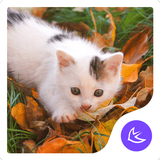 White Cat-APUS Launcher theme icône