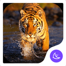 Tiger - APUS launcher theme APK