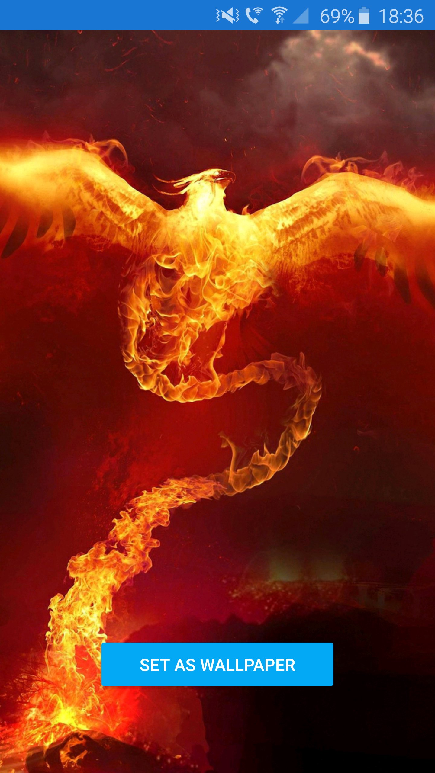 Awesome Phoenix Wallpaper APK for Android Download