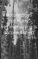 Best Natural Relaxing Quotes Wallpapers स्क्रीनशॉट 1