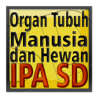 IPA SD Organ Manusia dan Hewan icon