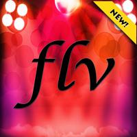 Online flv flash player poster