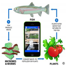 Aquaponics Guide Aquaculture APK