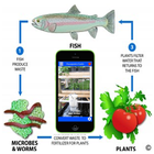 Aquaponics Guide Aquaculture icône