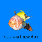 Aquaristik Lapadus icône