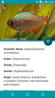 Acuario - Guía de peces Screenshot 2