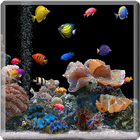Aquarium Fish Wallpaper icône