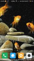 برنامه‌نما Aquarium Fish Wallpaper عکس از صفحه