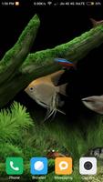 Aquarium Fish Wallpaper 截圖 3