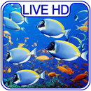 Aquarium Live Wallpaper & Lock screen APK