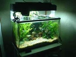 2 Schermata co2 system for planted tank