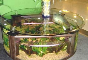برنامه‌نما diy fish tank عکس از صفحه